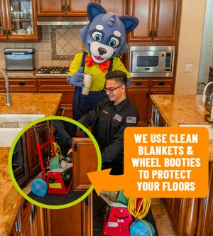 Rooter Solutions company pic